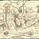 Illustration for article titled A Gorgeous Dissection of Mermaid Anatomy